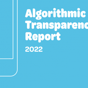 On the inadequacy of Wolt’s Algorithmic Transparency Report and the limits of “algorithmic management” discourse