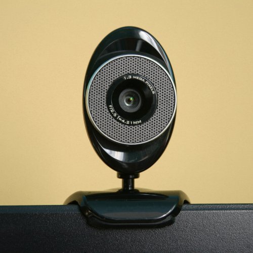 Weathering winner-take-all. How rankings constitute competition on webcam sex platforms, and what performers can do about it
